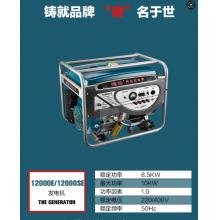 德世发电机 12000（无质量问题不退换）