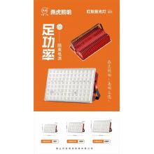 燕虎照明 红蚁投光灯 系列