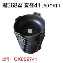 黑568盆 直径41（50个/件）