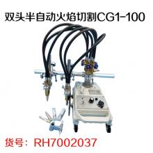 双头半自动火焰切割CG1-100
